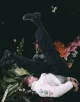 All clothes by PRADA